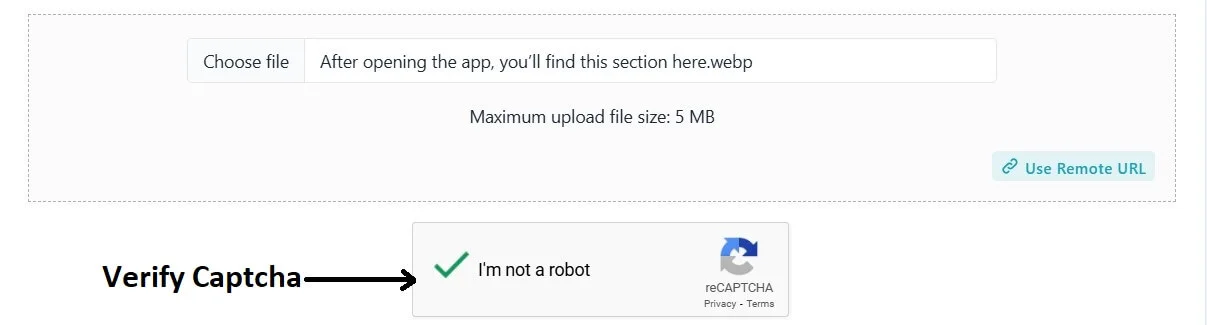 how to use webp to jpg step2
